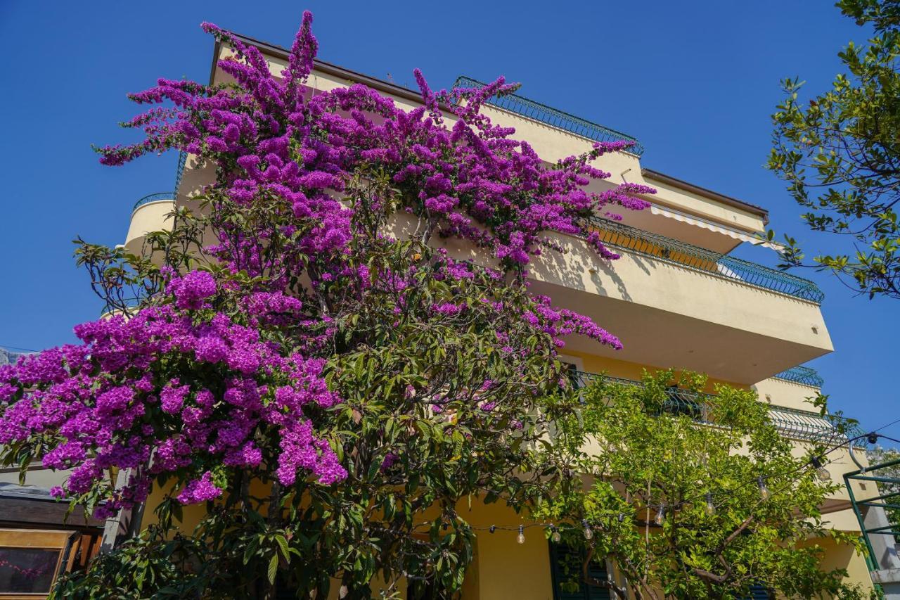 Villa Lean Makarska Bagian luar foto
